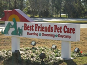 Best Friends Pet Care Kennel WDW review